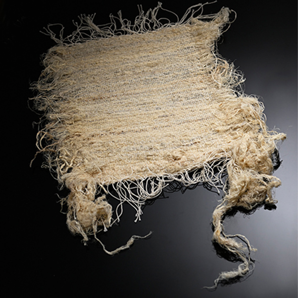 丹後藤布 TANGO-FUJIFU Ancient textile made from wisteria vines